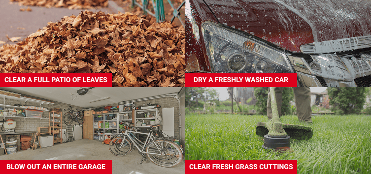 Wood Ranger Leaf Blower